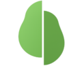 pairshaped pair transparent